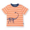 Dippy the dino t-shirt by Kite