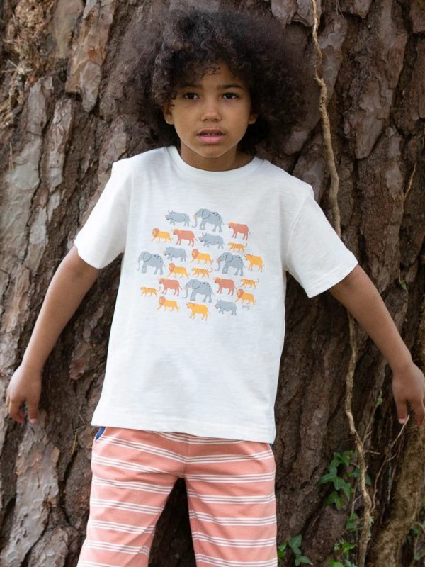 Boys Big five t-shirt by Kite